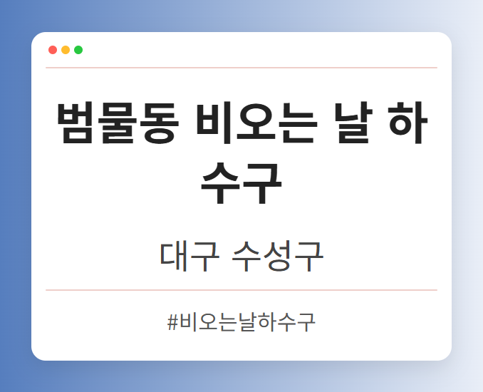 범물동 비오는 날 하수구 - 대구 수성구 범물동 비오는 날 하수구 전문업체
