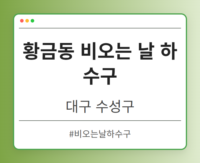 황금동 비오는 날 하수구 - 대구 수성구 황금동 비오는 날 하수구 전문업체