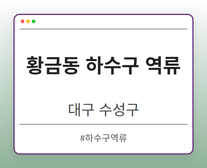황금동 하수구 역류 - 대구 수성구 황금동 하수구 역류 전문업체